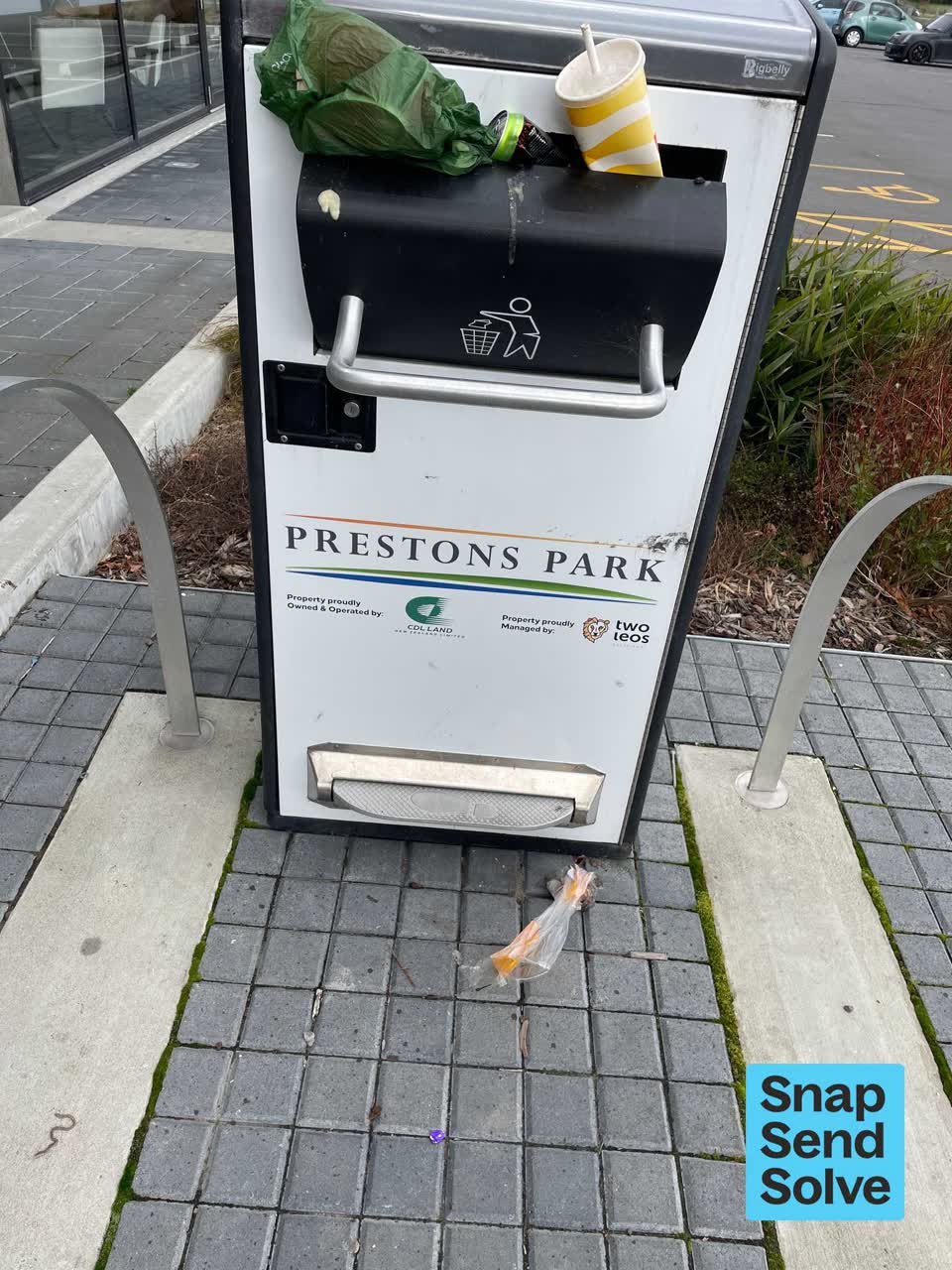 The photograph attached to this rubbish and bins - general report