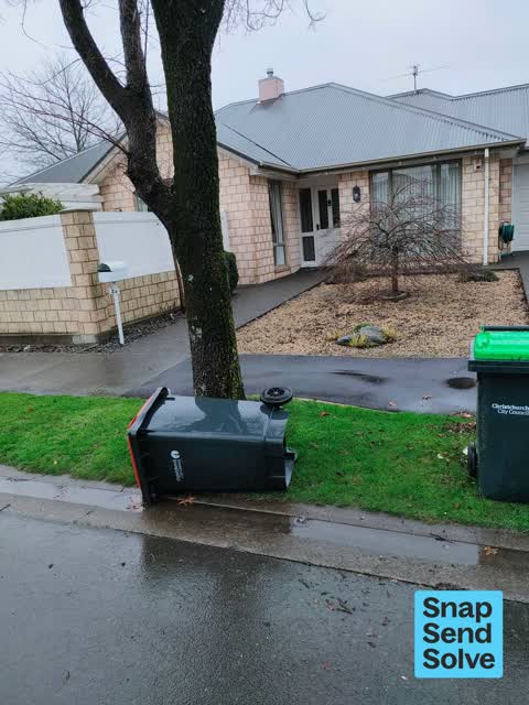 Rubbish and Bins - General, a report photo