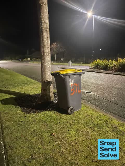Rubbish and Bins - General, a report photo