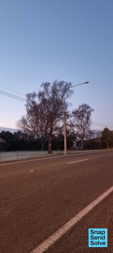 Street Light Outage, a report photo