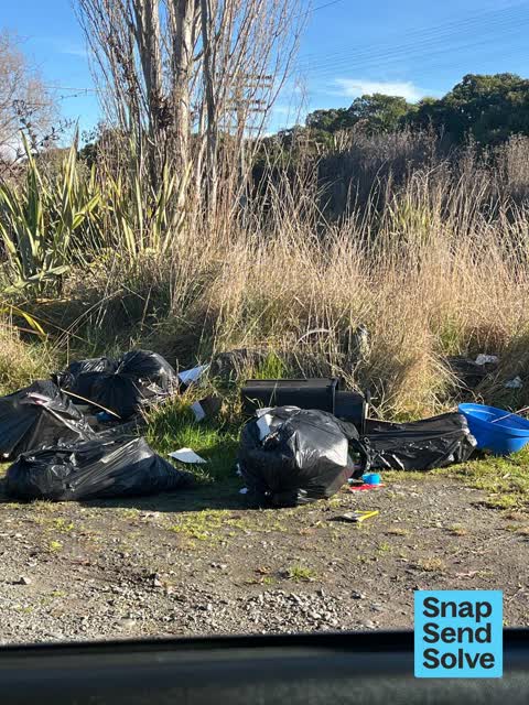 Litter — a report photo