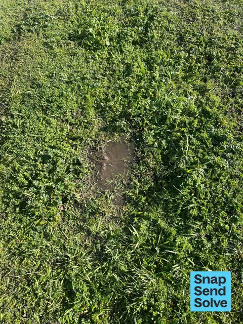 Water Leak — a report photo