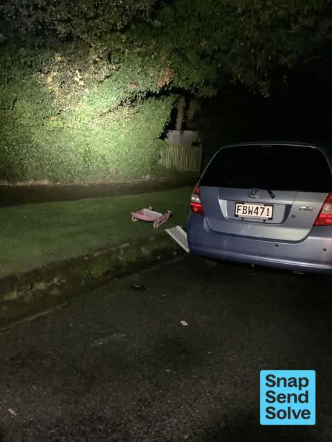 Dumped Rubbish — a report photo