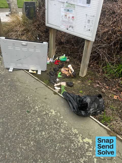Dumped Rubbish — a report photo