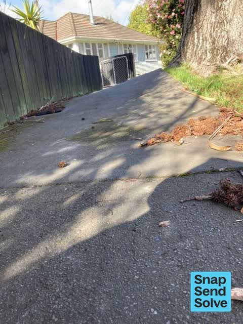 Trees - General, a report photo