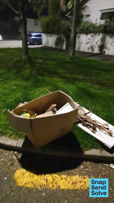 Dumped Rubbish, a report photo