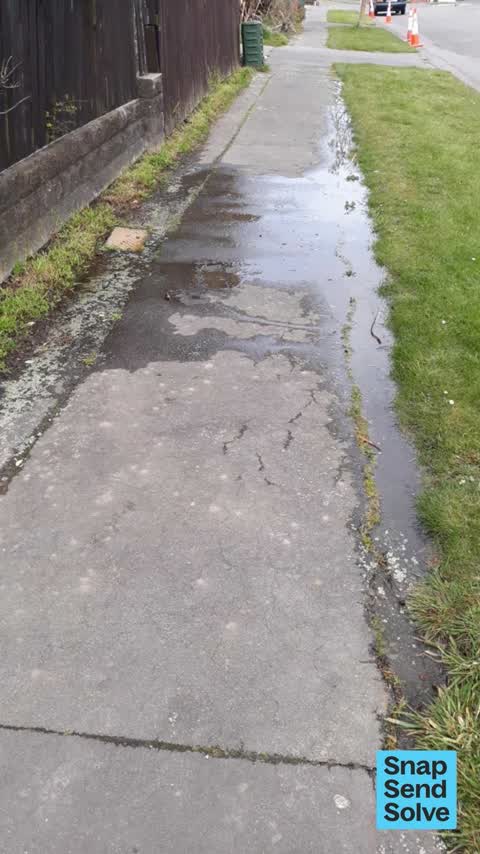Water Leak, a report photo