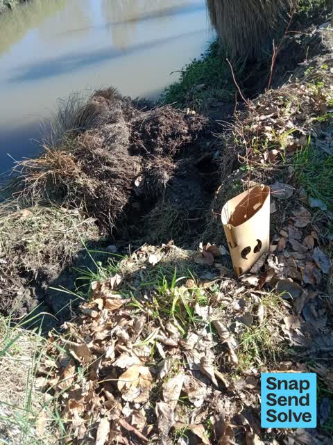 General Request, a report photo