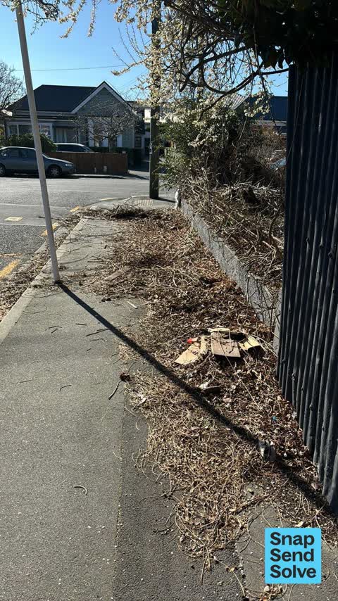 Overgrown Vegetation, a report photo