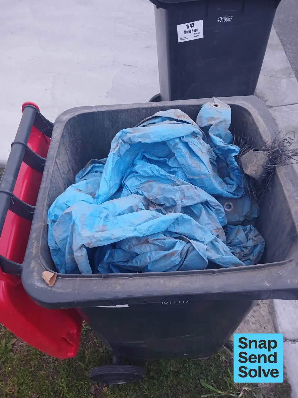 The photograph attached to this rubbish and bins - general report