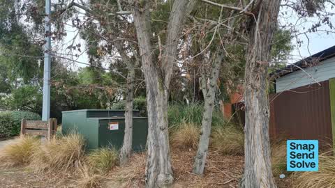 Trees - General, a report photo