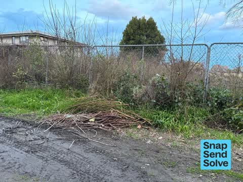 Dumped Rubbish, a report photo