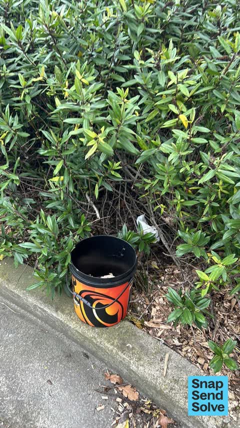 Dumped Rubbish, a report photo