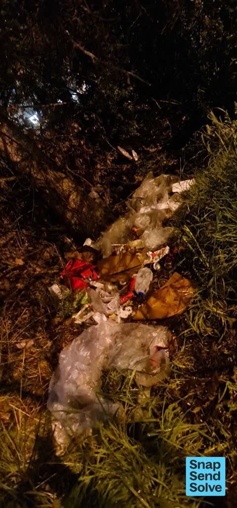 Litter, a report photo