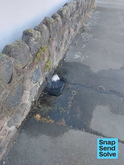 Water Leak, a report photo
