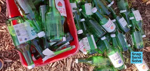 Litter, a report photo