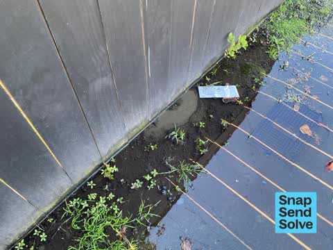 Water Leak, a report photo
