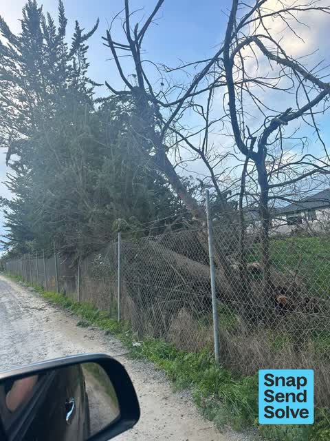 Park - General Request, a report photo
