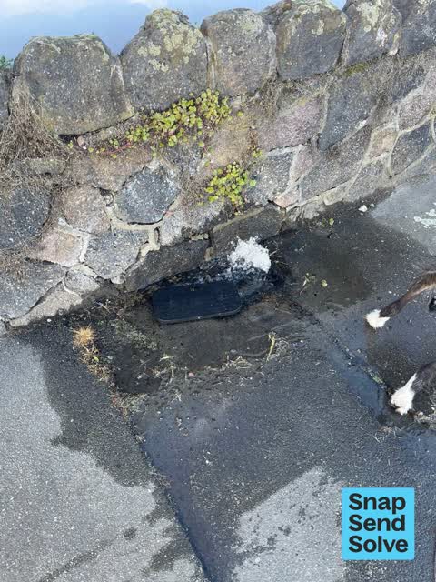 Water General, a report photo