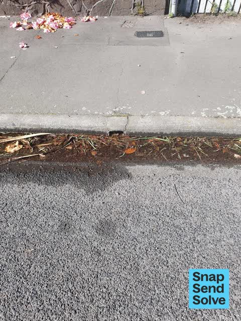 Water Leak, a report photo