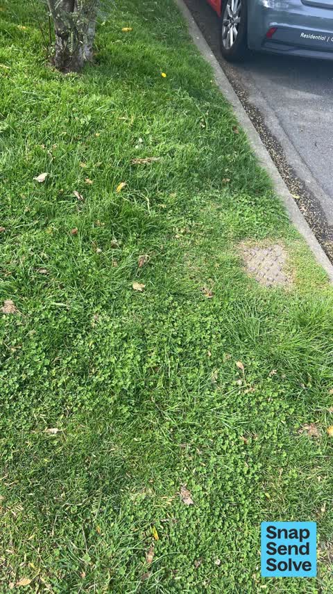 Water Leak, a report photo