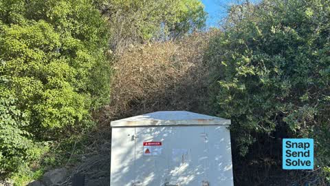 Overgrown Vegetation, a report photo