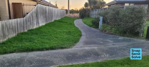 Overgrown Vegetation, a report photo