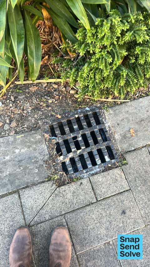 Street Gutters / Storm Water, a report photo