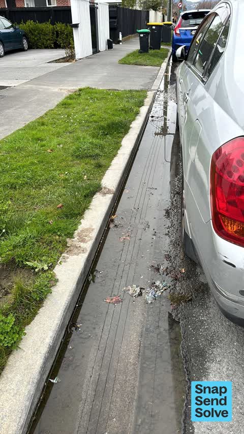 Street Gutters / Storm Water, a report photo