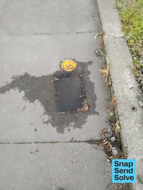 Water Leak, a report photo