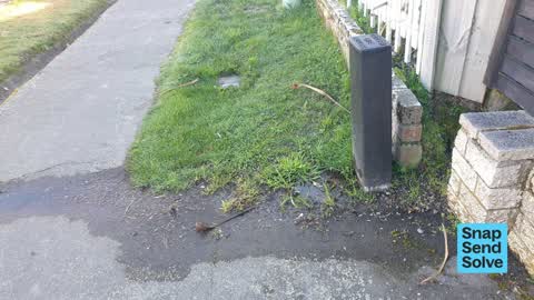 Water Leak, a report photo
