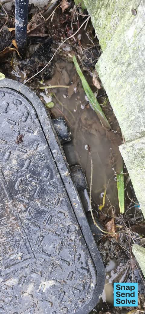 Water Leak, a report photo