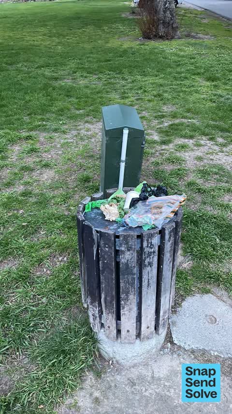 Rubbish and Bins - General — a report photo