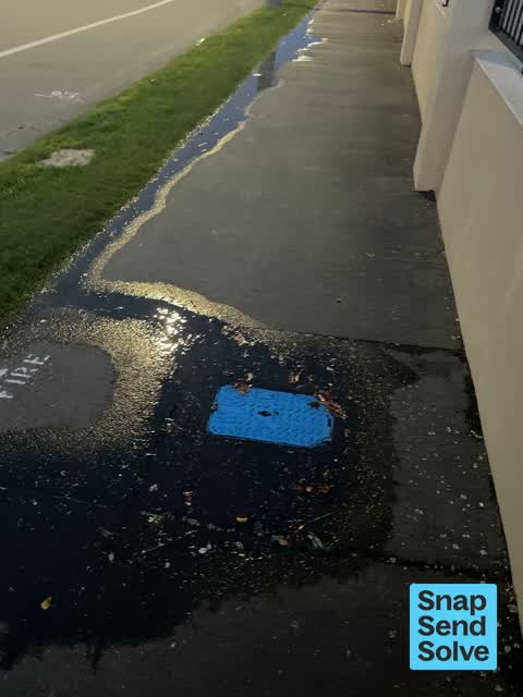Water Leak, a report photo