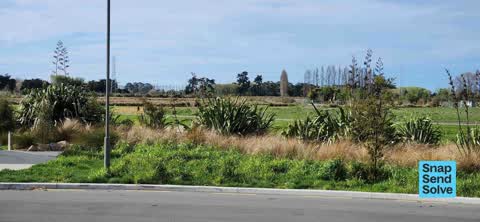 Overgrown Vegetation, a report photo