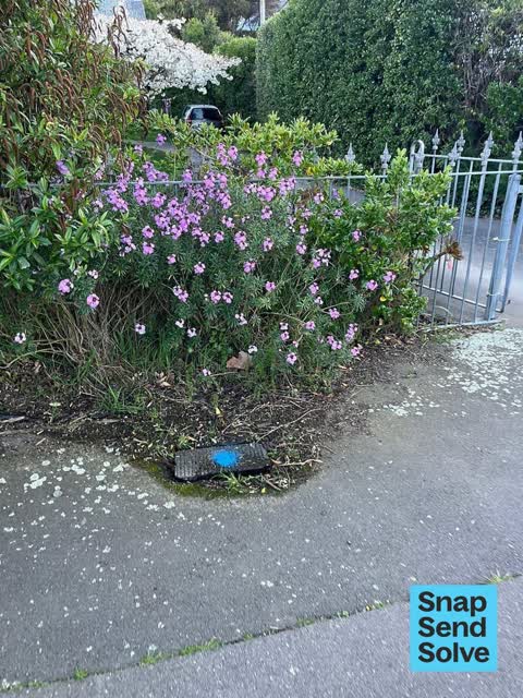 Water Leak, a report photo