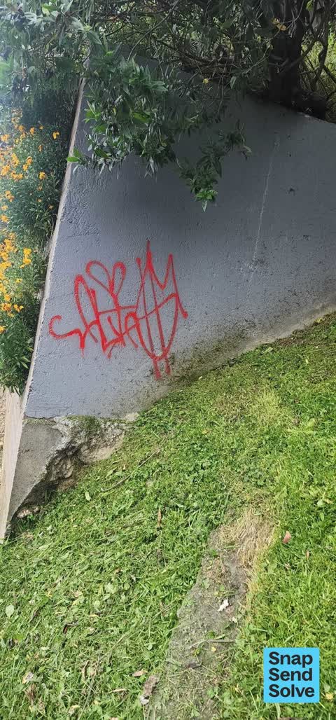 Graffiti on a fence, building or structure, a report photo