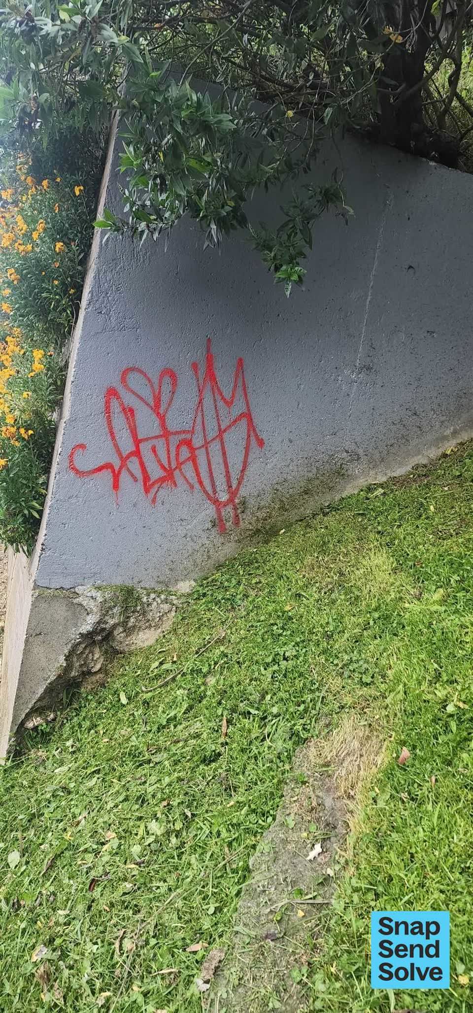 The photograph attached to this graffiti on a fence, building or structure report