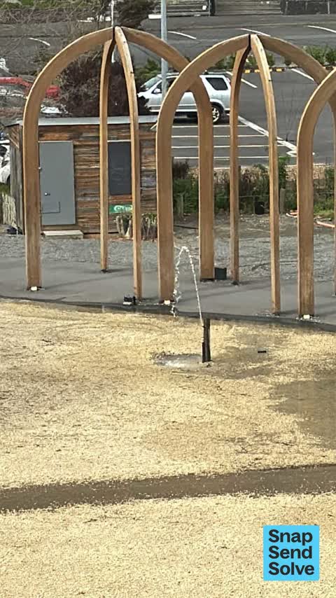 Water Leak, a report photo