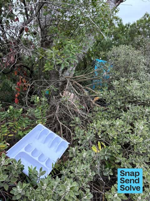 Dumped Rubbish, a report photo