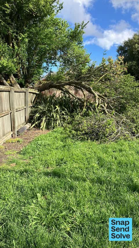 Park - General Request, a report photo