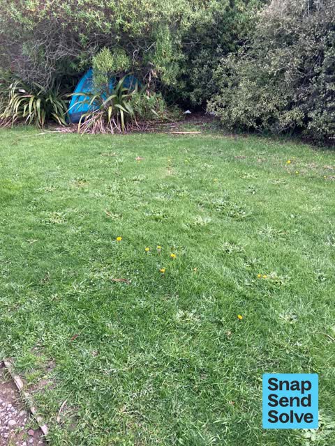 Facility - General Request, a report photo