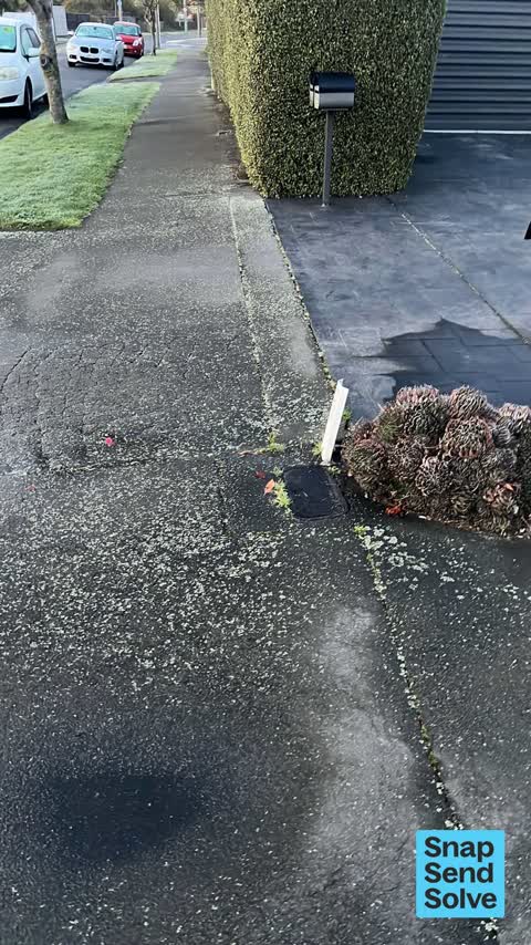Water Leak, a report photo