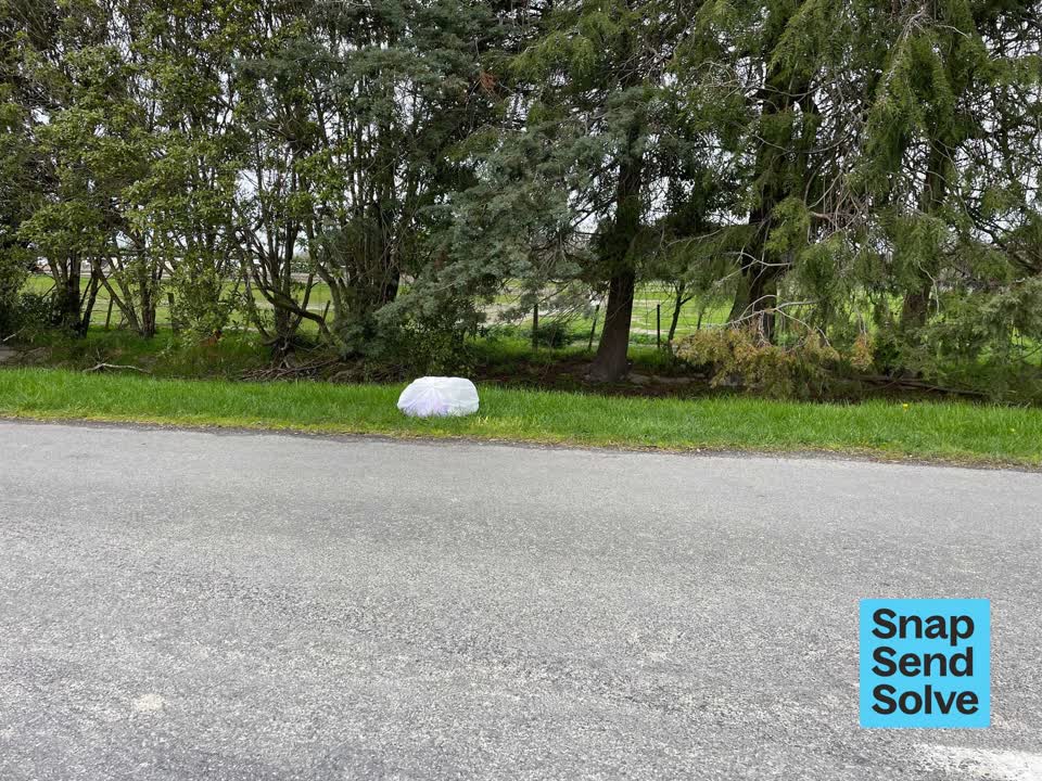 The photograph attached to this dumped rubbish report