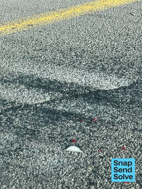 Litter, a report photo