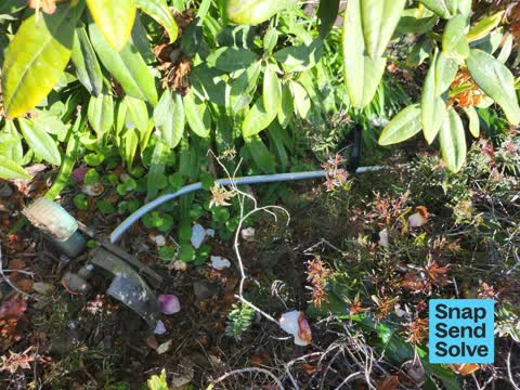 Dumped Rubbish — a report photo