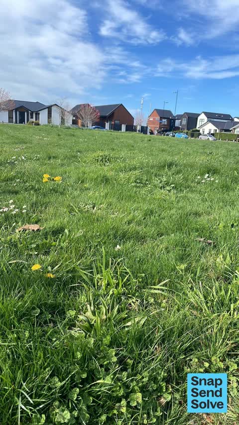 Overgrown Vegetation, a report photo