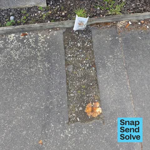 Pavement - Damaged, a report photo