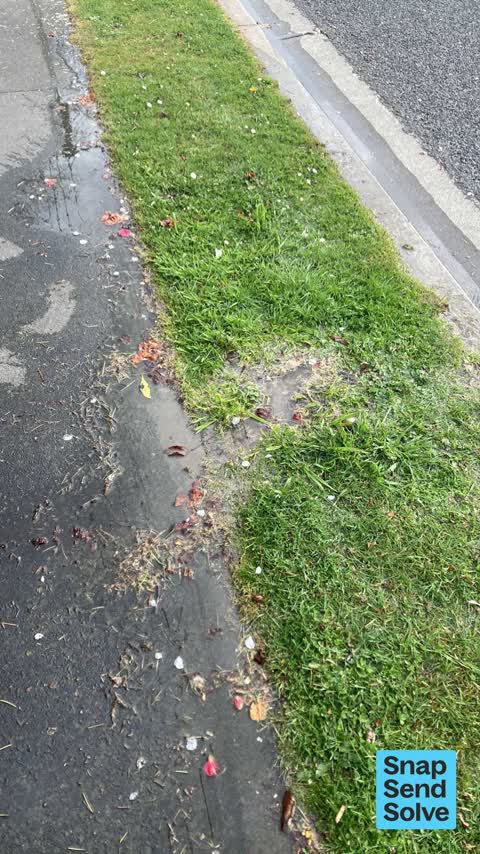 Street Gutters / Storm Water, a report photo