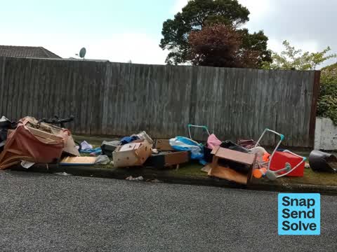 Rubbish and Bins - General, a report photo